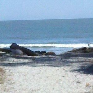 Meet your Posher, Judi